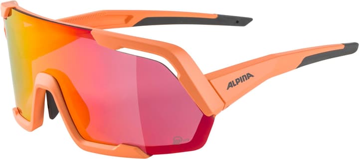 Alpina Rocket Q-Lite Sportbrille rot von Alpina