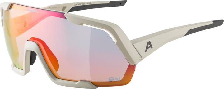 Alpina Rocket QV Sportbrille kitt von Alpina