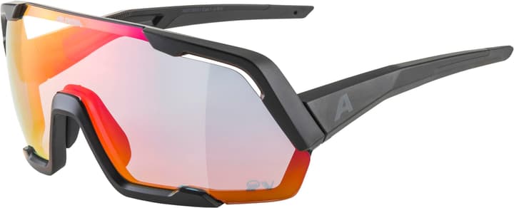 Alpina Rocket QV Sportbrille schwarz von Alpina