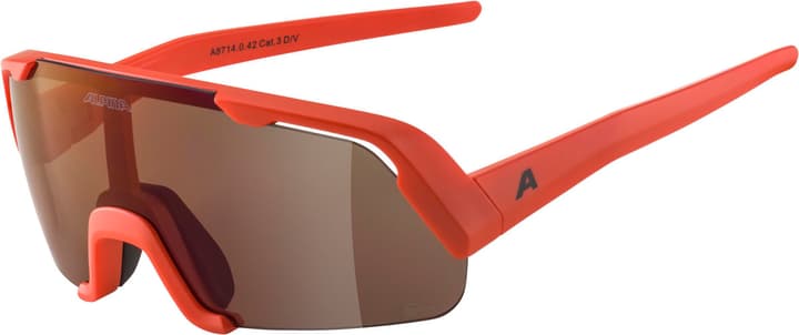Alpina Rocket Youth Q-Lite Sportbrille dunkelrot von Alpina