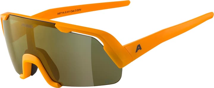 Alpina Rocket Youth Q-Lite Sportbrille ocker von Alpina