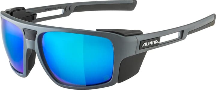 Alpina Skywalsh Q P Sportbrille dunkelgrau von Alpina
