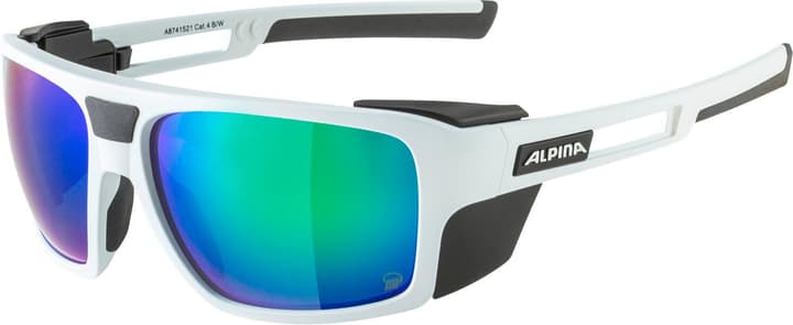 Alpina Skywalsh Q P Sportbrille grau von Alpina