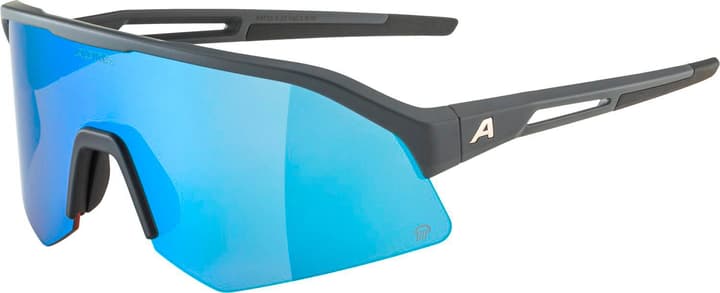 Alpina Sonic HR Q (Pol) Sportbrille grau von Alpina