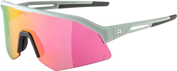 Alpina Sonic HR Q (Pol) Sportbrille rohweiss von Alpina