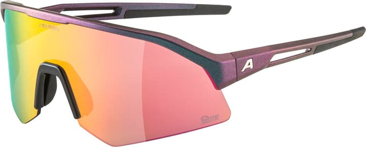 Alpina Sonic HR Q-Lite Sportbrille aubergine von Alpina