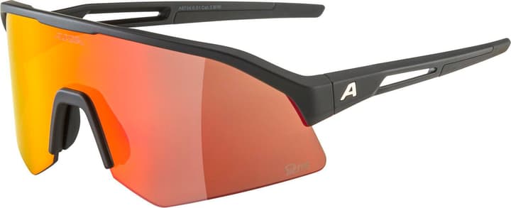 Alpina Sonic HR Q-Lite Sportbrille schwarz von Alpina