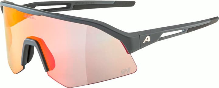 Alpina Sonic HR QV Sportbrille grau von Alpina