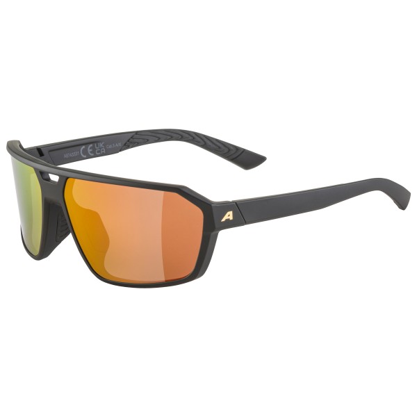 Alpina - Swift Mirror S3 - Sonnenbrille bunt;schwarz Alpina - Swift Mirror S3 - Sonnenbrille bunt;schwarz von Alpina