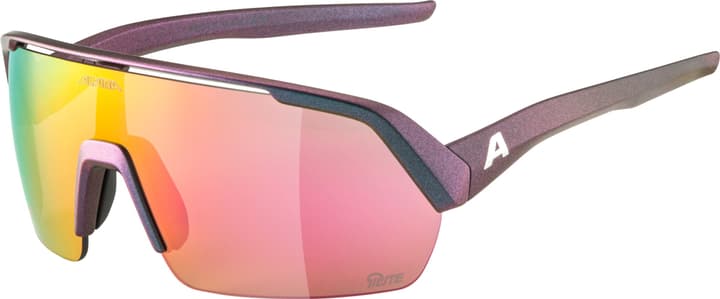 Alpina Turbo HR Q-Lite Sportbrille aubergine von Alpina