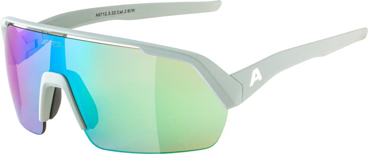 Alpina Turbo HR Sportbrille hellgrau von Alpina