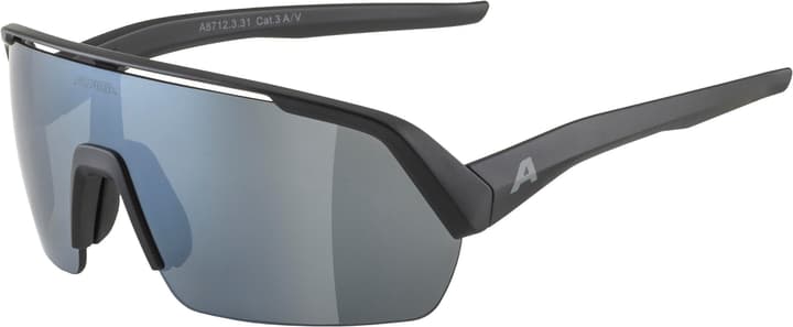 Alpina Turbo HR Sportbrille schwarz von Alpina