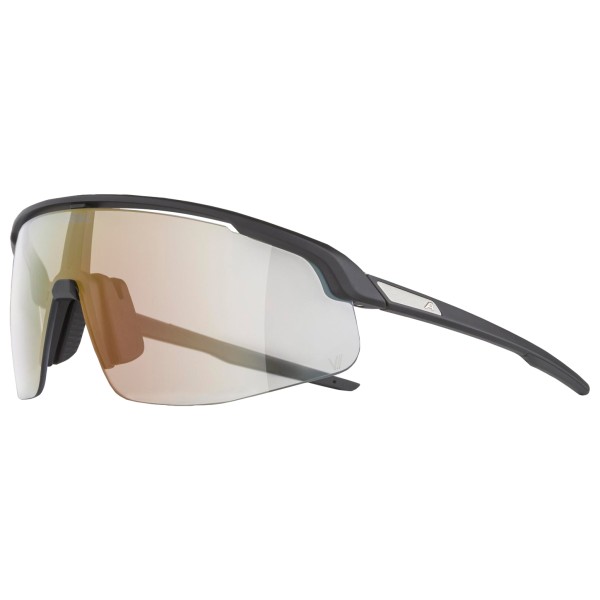 Alpina - Turbo Pro V Photchromic S1-3 - Velobrille schwarz Alpina - Turbo Pro V Photchromic S1-3 - Velobrille schwarz von Alpina