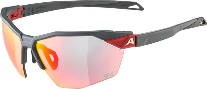 Alpina Twist SIX HR QV Sportbrille dunkelrot von Alpina
