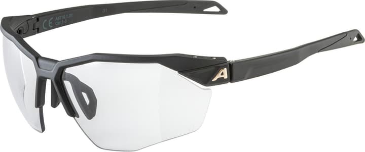Alpina Twist SIX HR V Sportbrille schwarz von Alpina