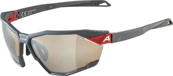 Alpina Twist SIX Q Sportbrille grau von Alpina