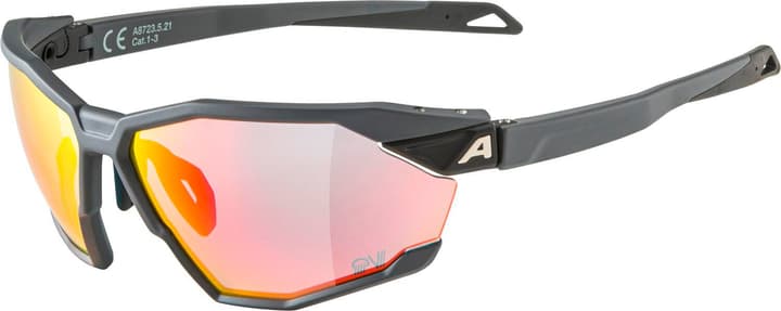 Alpina Twist SIX QV Sportbrille dunkelgrau von Alpina