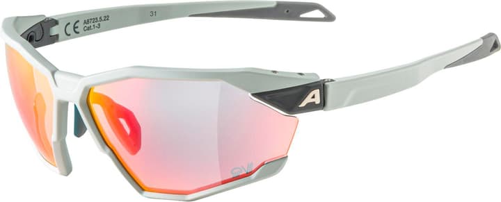 Alpina Twist SIX QV Sportbrille kitt von Alpina