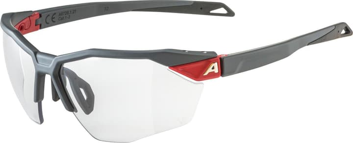 Alpina Twist SIX S HR V Sportbrille grau von Alpina