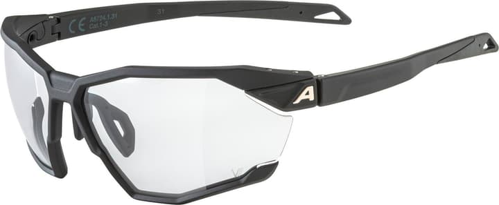 Alpina Twist SIX V Sportbrille schwarz von Alpina