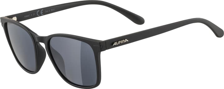 Alpina Yefe Sportbrille schwarz von Alpina