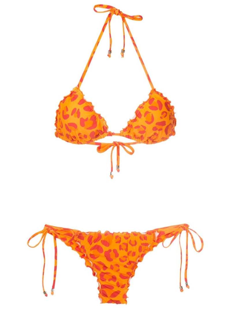 Amir Slama leopard-print triangle bikini - Orange von Amir Slama