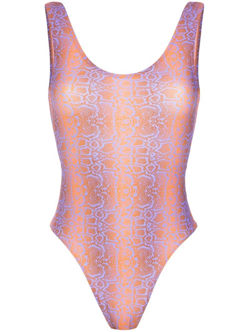 Amir Slama python print swimsuit - Multicolour von Amir Slama