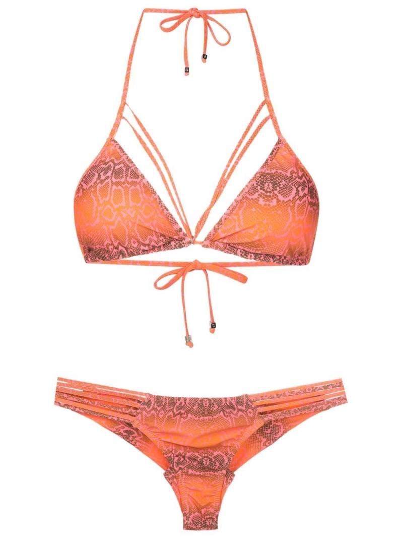 Amir Slama snakeskin-print cut-out bikini - Orange von Amir Slama