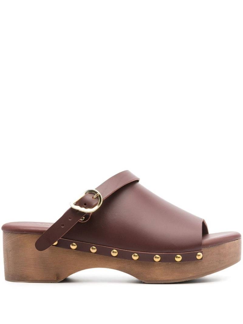 Ancient Greek Sandals buckled leather clogs - Brown von Ancient Greek Sandals