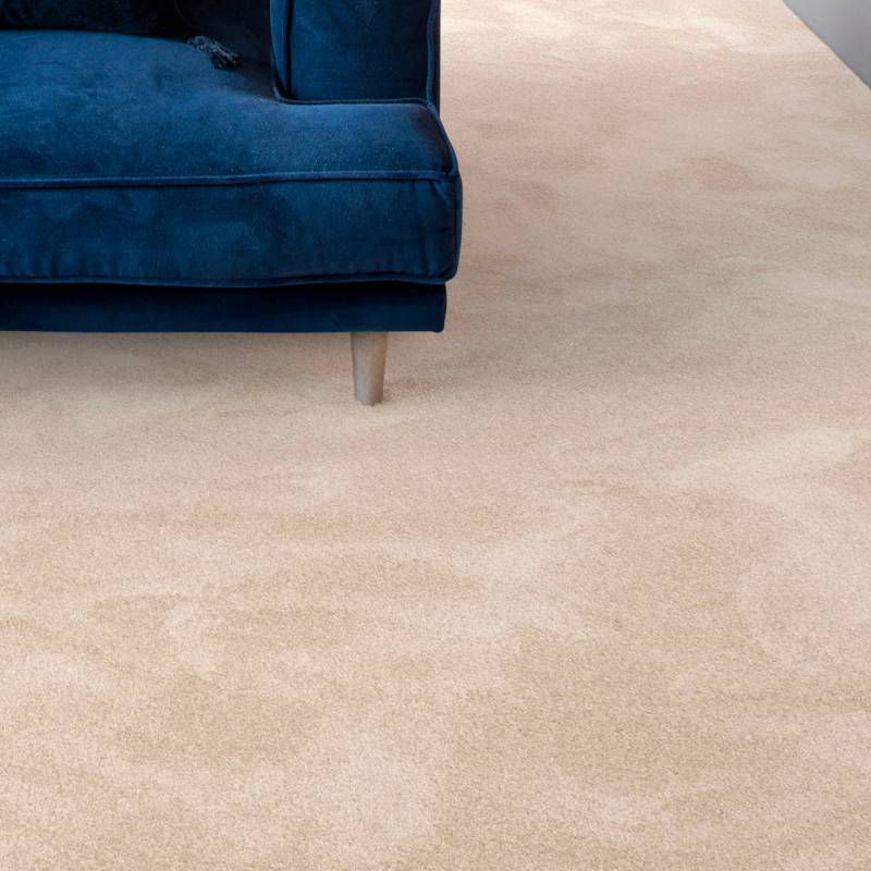 Andiamo Teppichboden »Levin, Velours, Made in Belgium«, rechteckig, 10 mm Höhe, Uni Farben, Breite 400 cm oder 500 cm, weiche Qualität von Andiamo