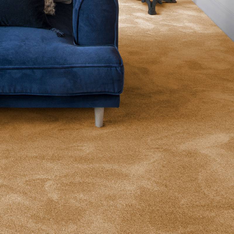 Andiamo Teppichboden »Levin, Velours, Made in Belgium«, rechteckig, 10 mm Höhe, Uni Farben, Breite 400 cm oder 500 cm, weiche Qualität von Andiamo