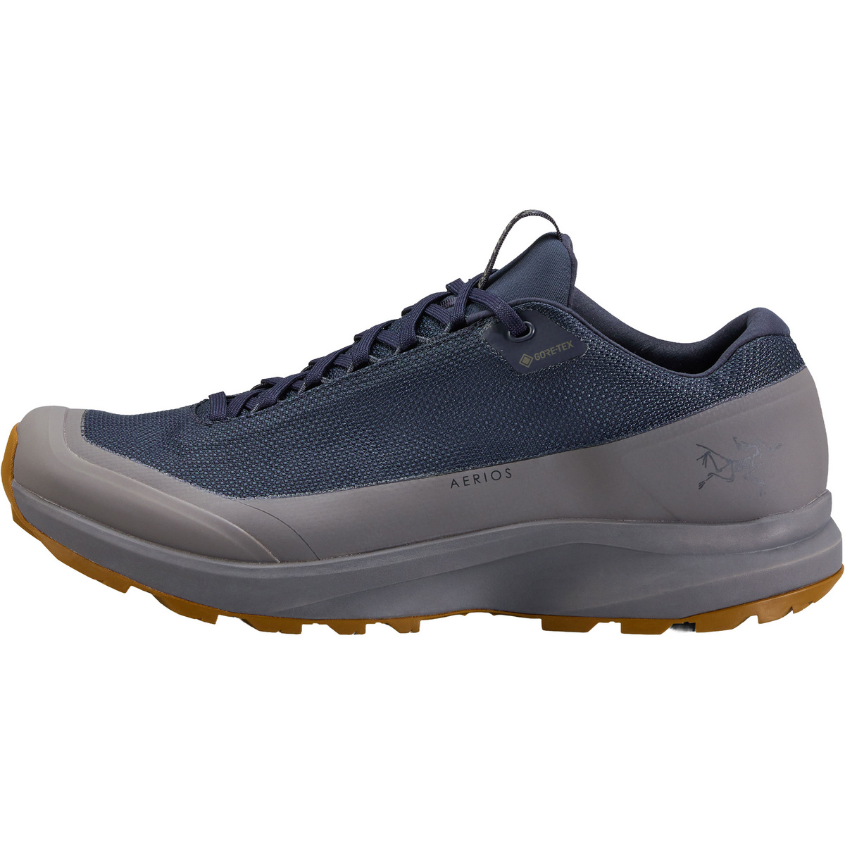 Arcteryx Herren Aerios FL 2 GTX Schuhe von Arcteryx