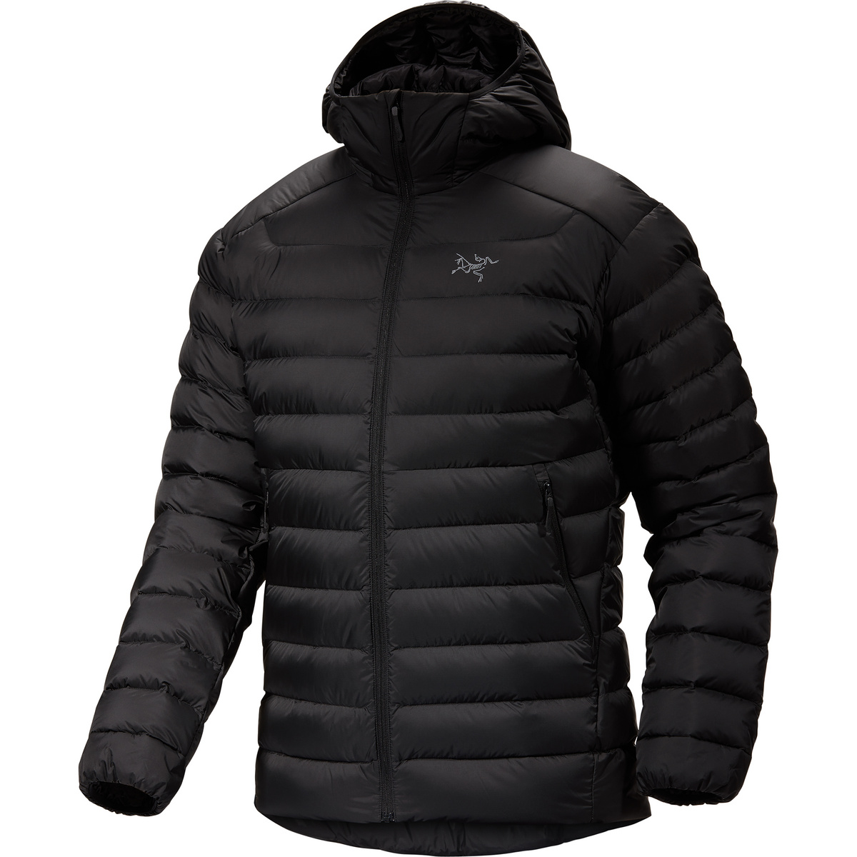 Arcteryx Herren Cerium Hoodie Jacke von Arcteryx