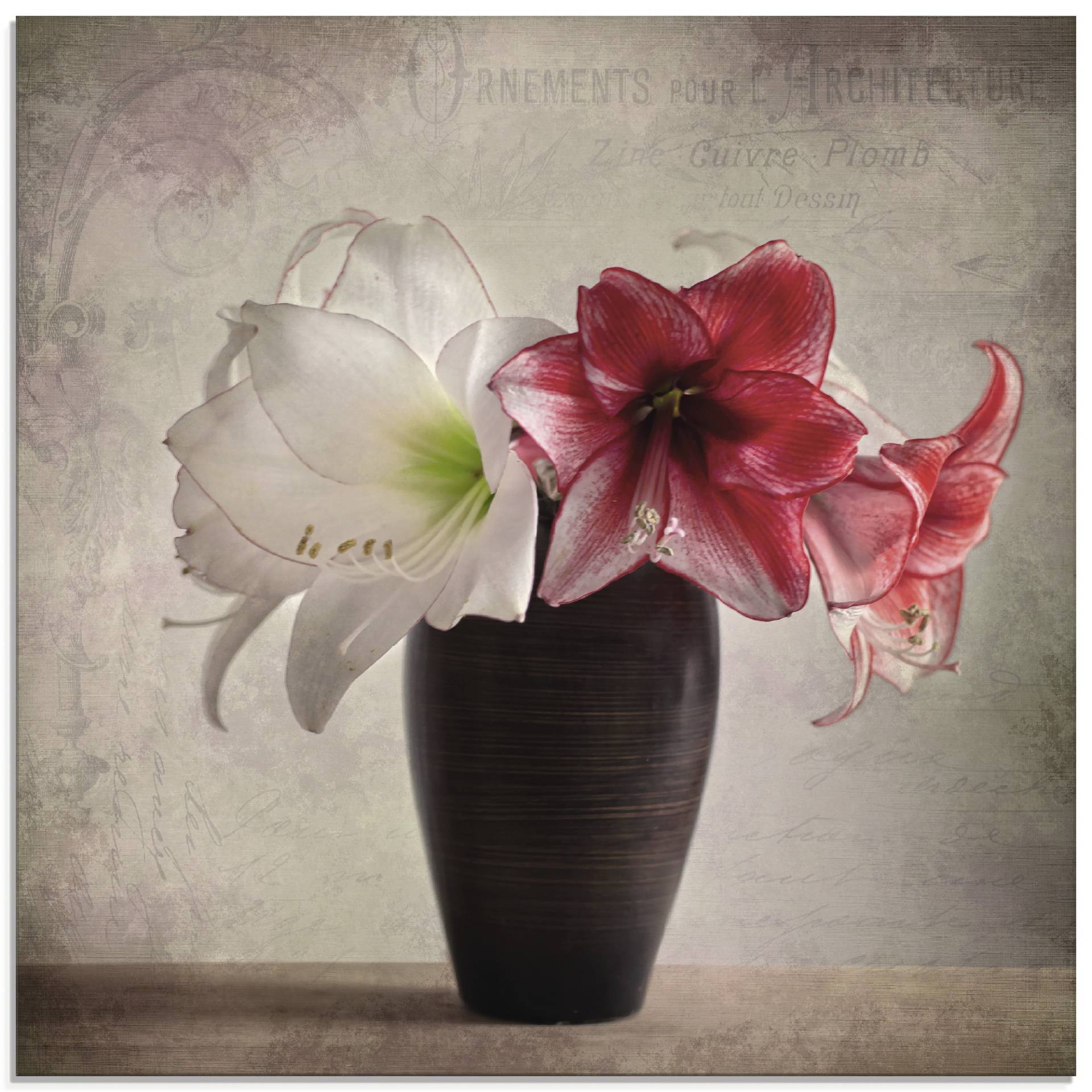 Artland Glasbild »Amaryllis Vintage I«, Blumen, (1 St.) von Artland