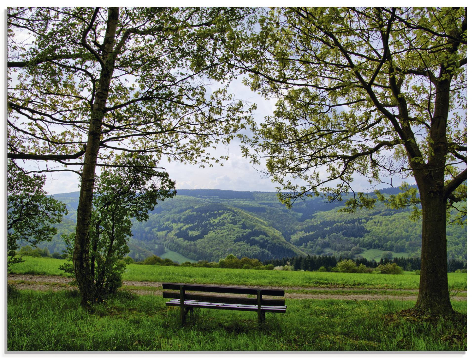 Artland Glasbild »Ausblick in den Frühling«, Felder, (1 St.) von Artland