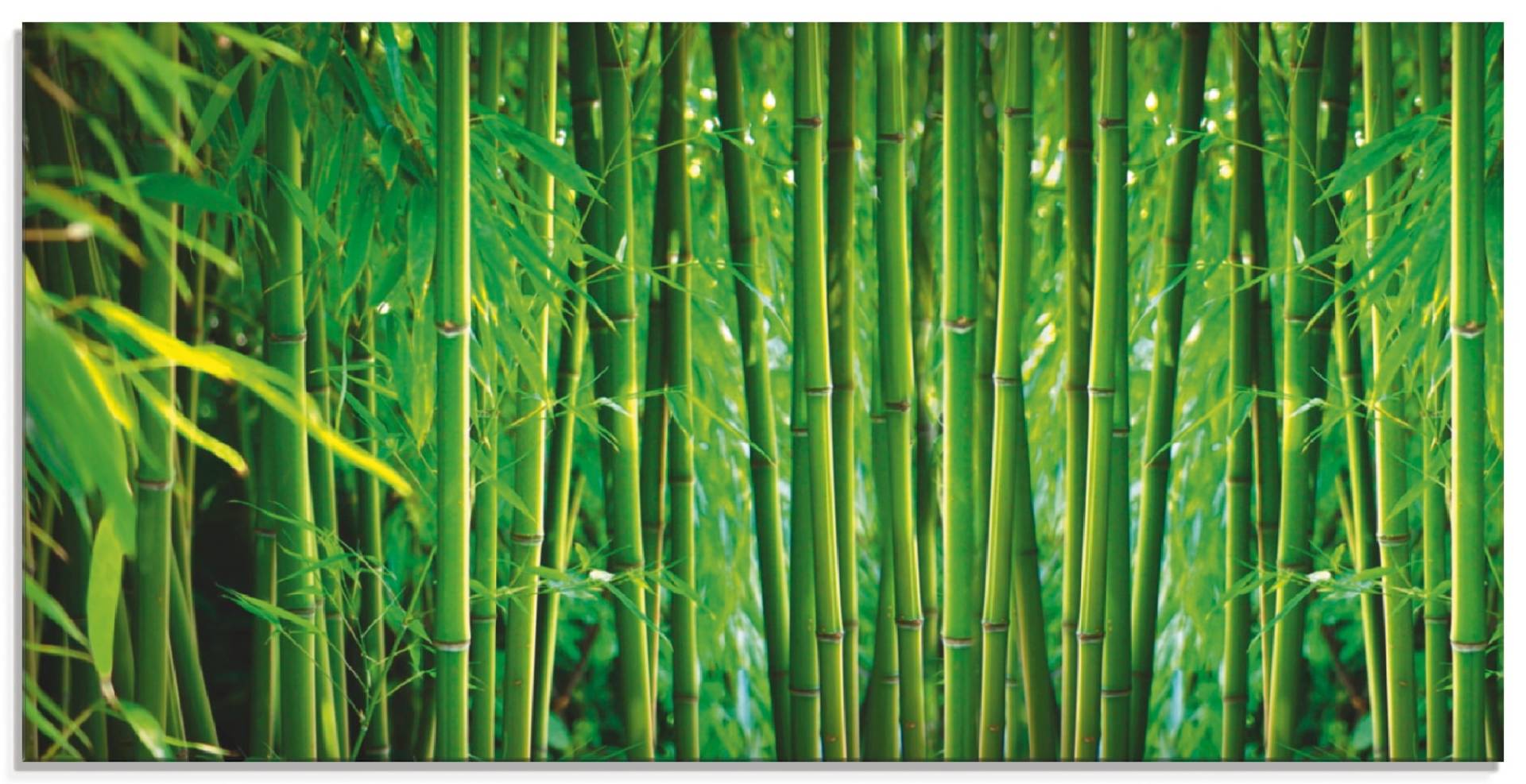 Artland Glasbild »Bambus II«, Gräser, (1 St.) von Artland