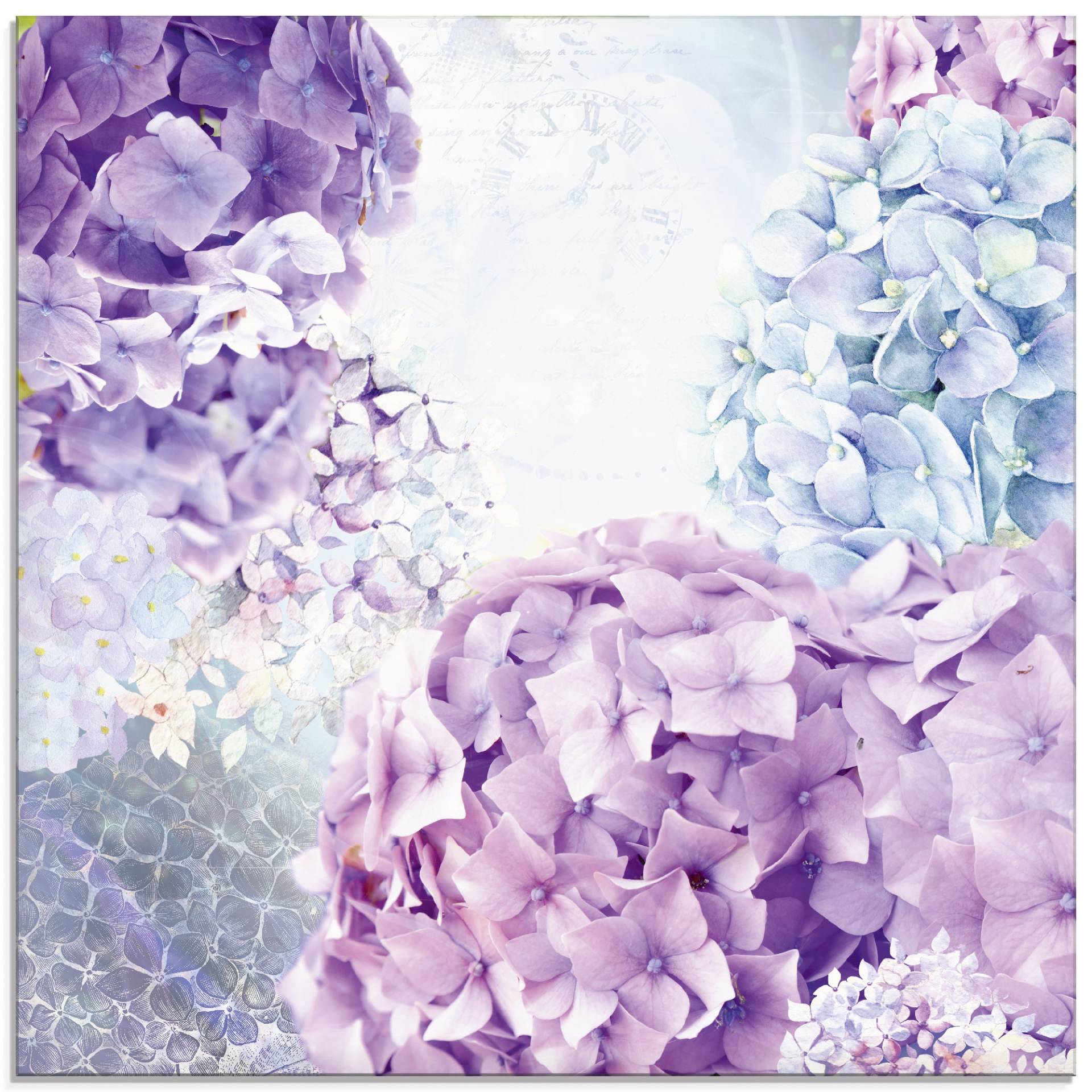 Artland Glasbild »Blau und Pink Hortensie«, Blumen, (1 St.), in verschiedenen Grössen Artland Glasbild »Blau und Pink Hortensie«, Blumen, (1 St.), in verschiedenen Grössen von Artland