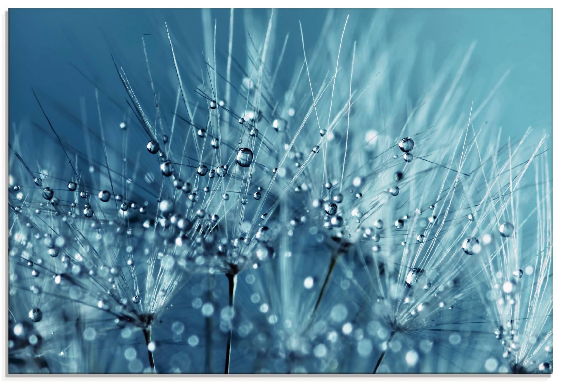Artland Glasbild »Blaue glitzernde Pusteblume«, Blumen, (1 St.) von Artland