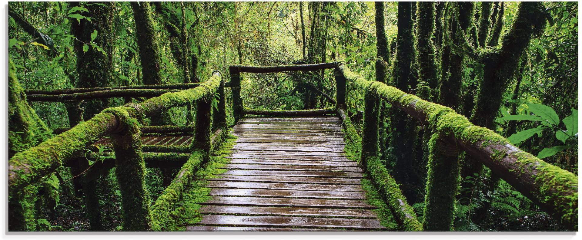 Artland Glasbild »Brückenpfad im Wald«, Asien, (1 St.) von Artland