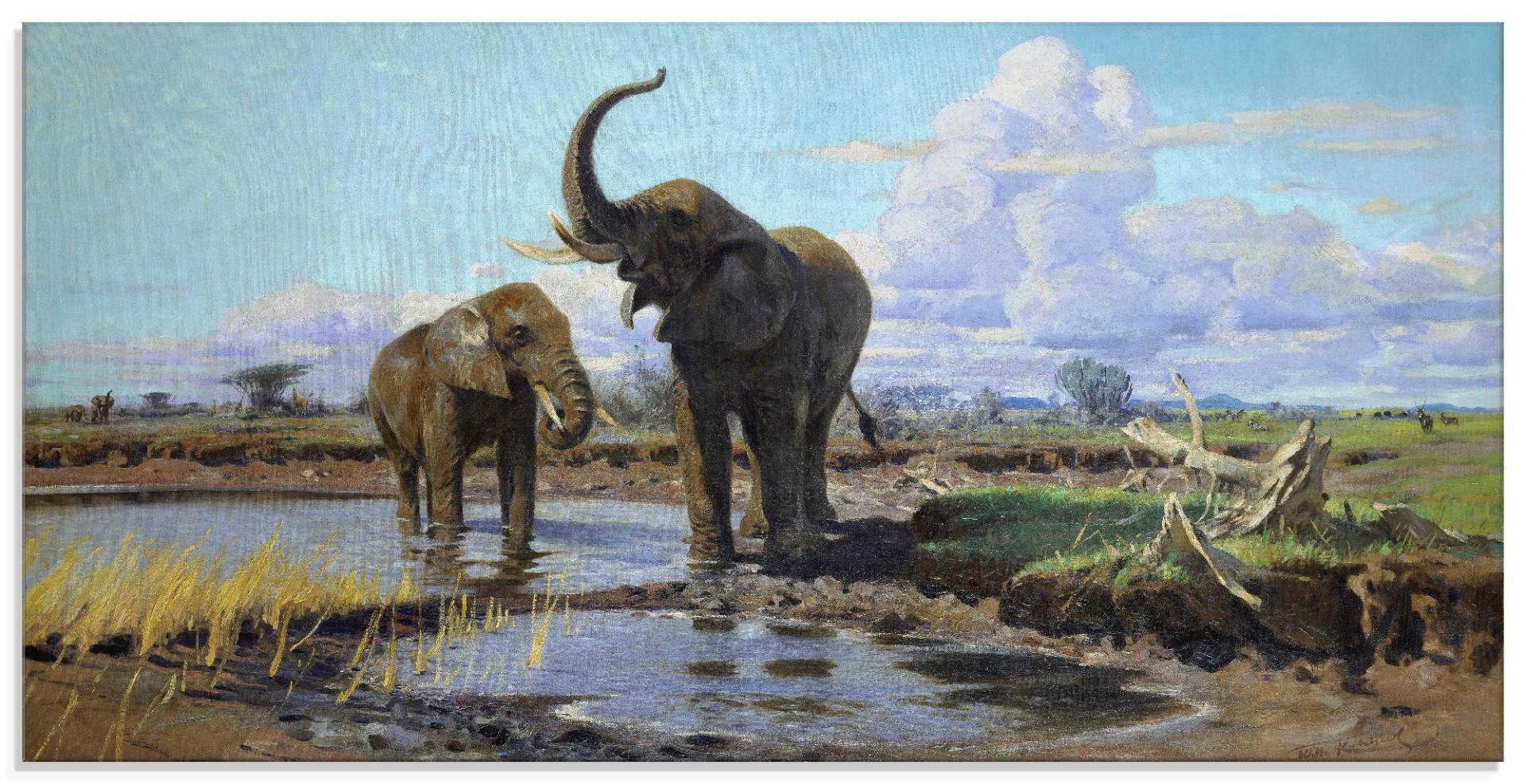 Artland Glasbild »Elefanten an der Wasserstelle.«, Wildtiere, (1 St.), in verschiedenen Grössen von Artland