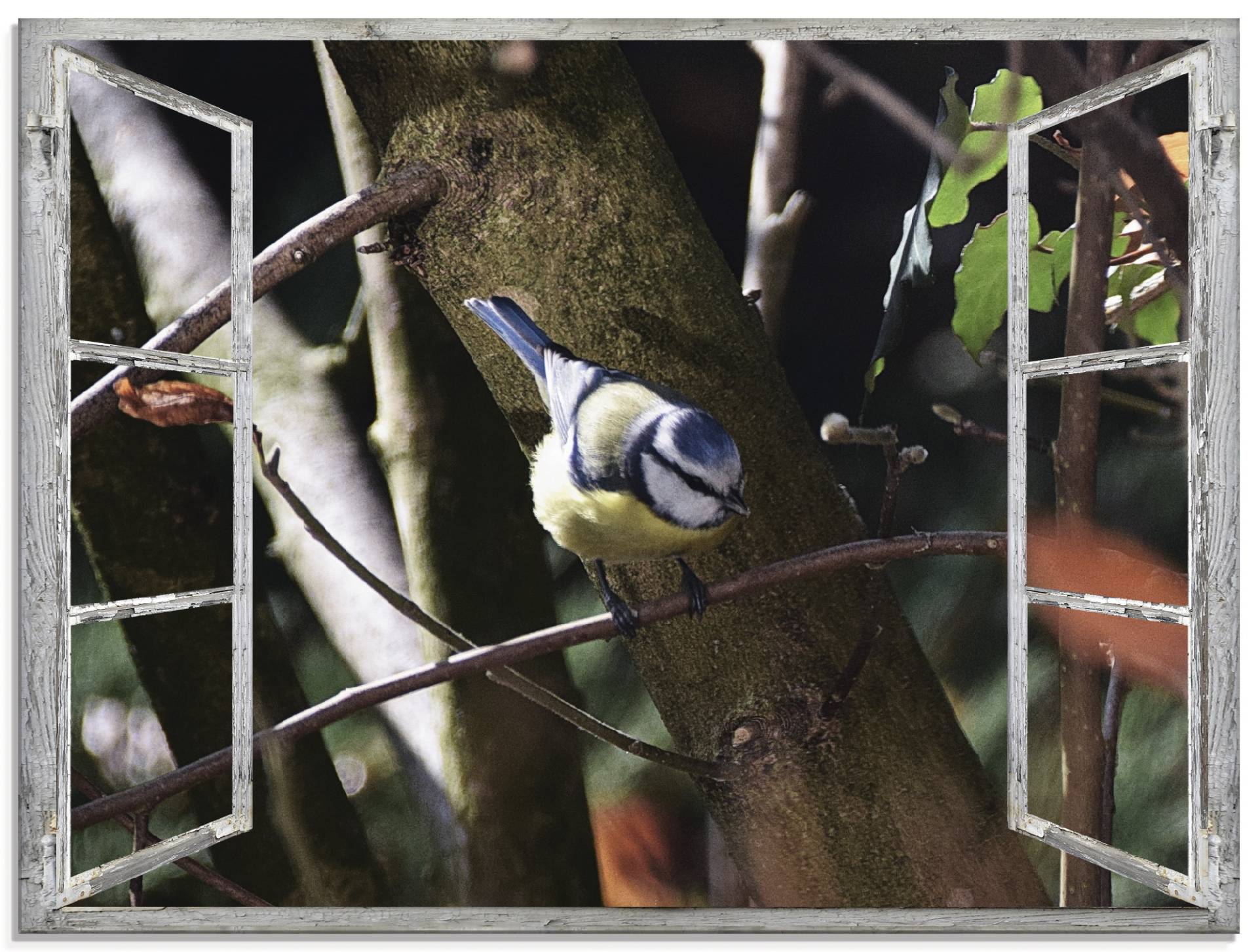 Artland Glasbild »Fensterblick - Blaumeise«, Vögel, (1 St.) von Artland