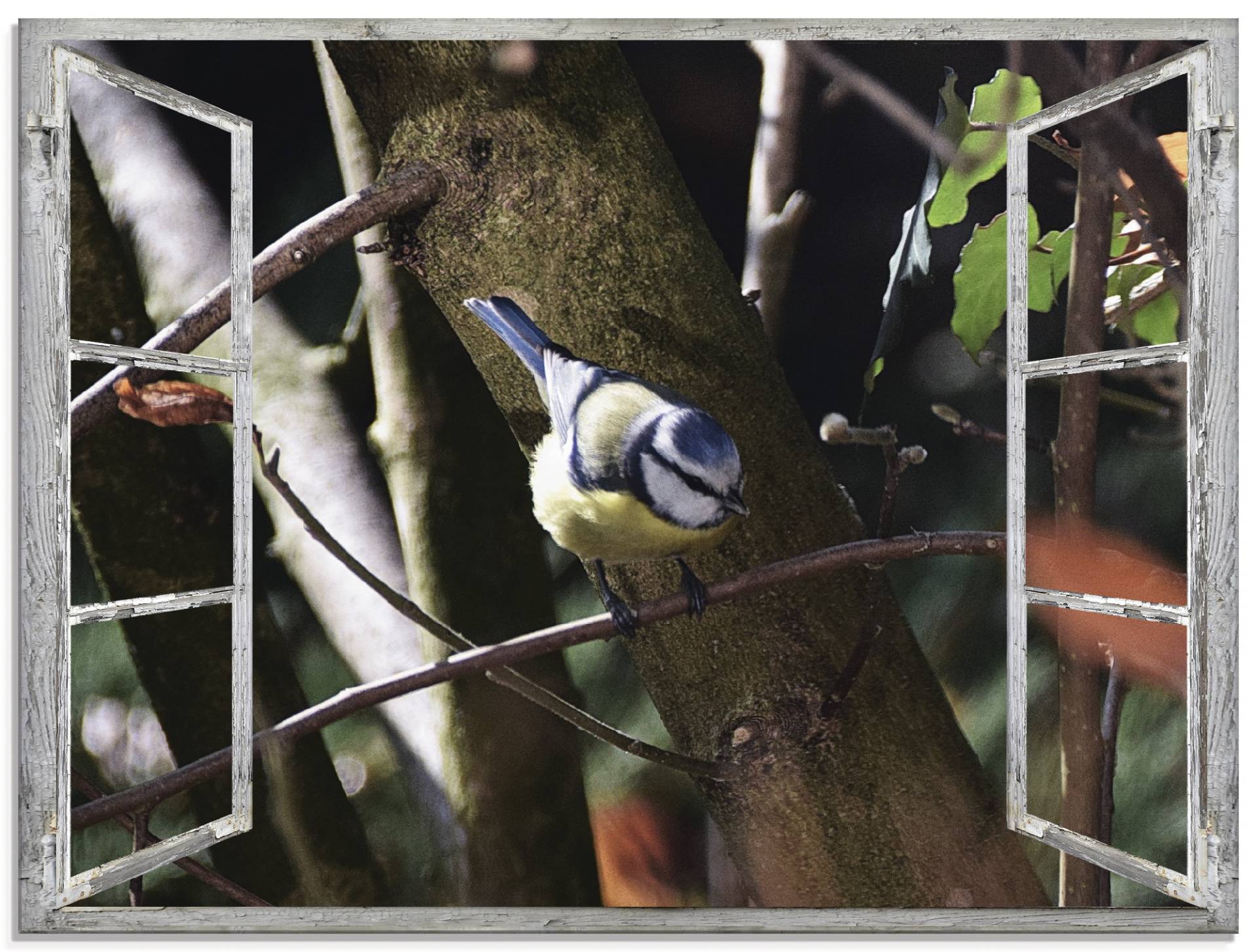 Artland Glasbild »Fensterblick - Blaumeise«, Vögel, (1 St.), in verschiedenen Grössen Artland Glasbild »Fensterblick - Blaumeise«, Vögel, (1 St.), in verschiedenen Grössen von Artland