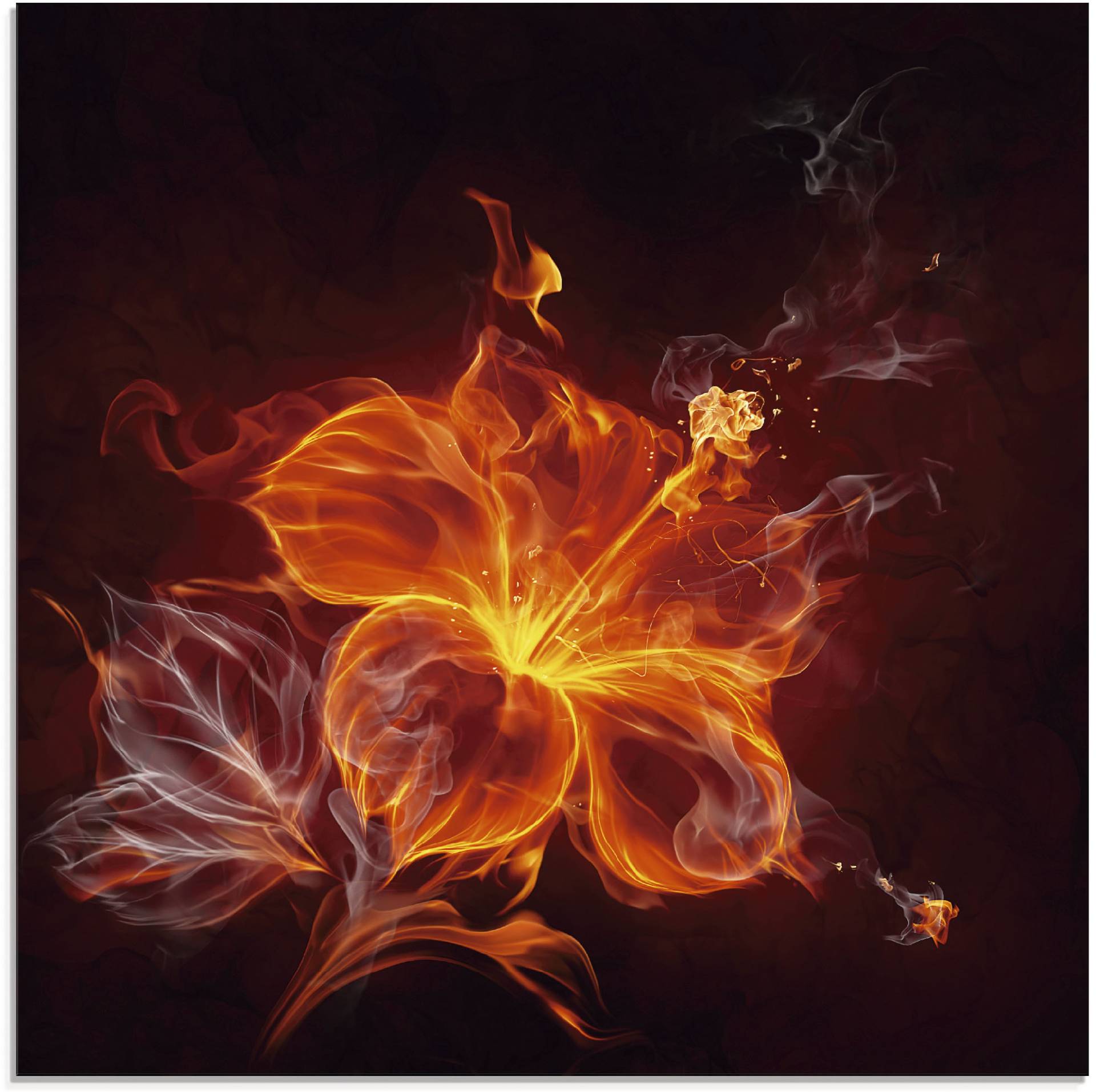 Artland Glasbild »Feuerblume«, Blumen, (1 St.) von Artland