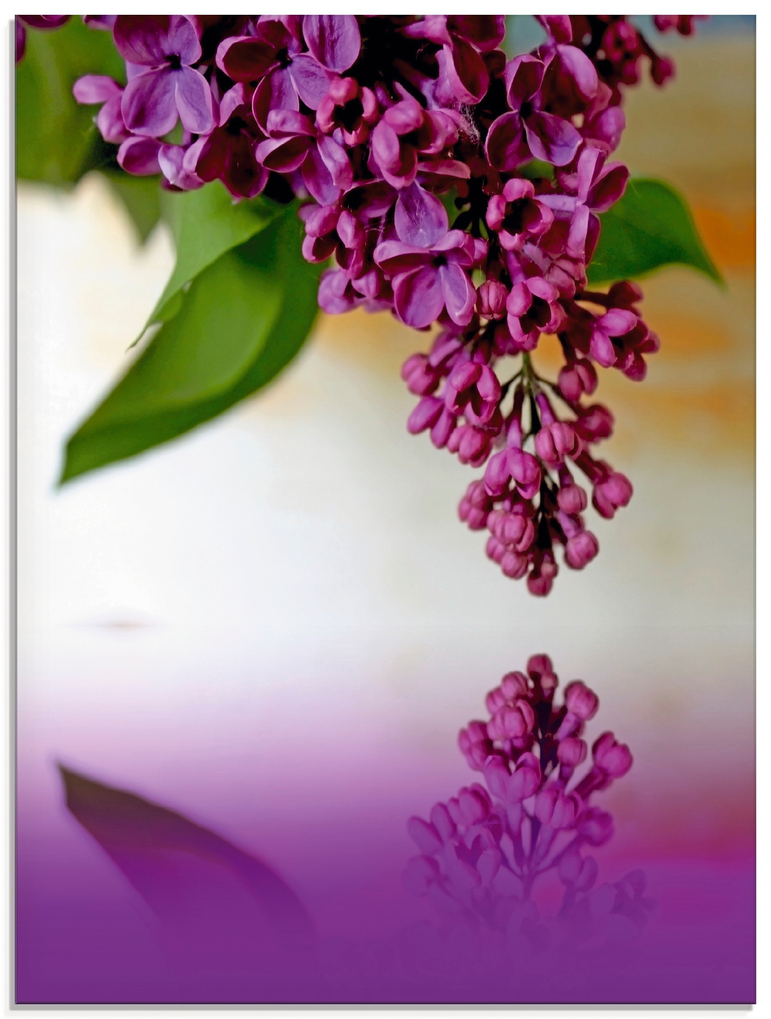 Artland Glasbild »Flieder«, Blumen, (1 St.) von Artland