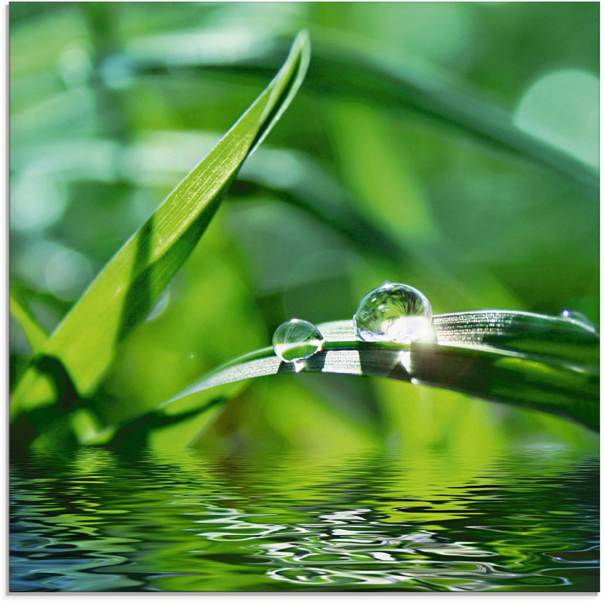 Artland Glasbild »Grüner Hintergrund mit Gras«, Gräser, (1 St.) von Artland