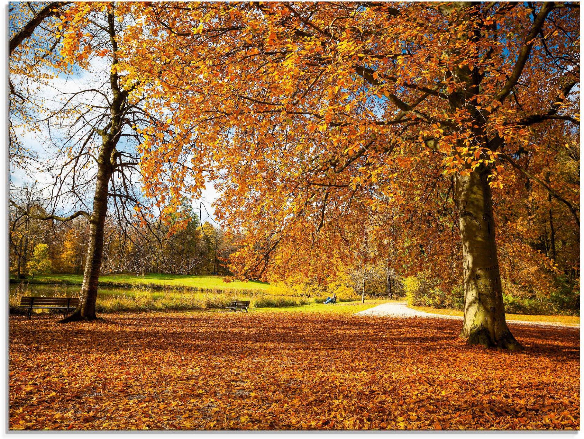 Artland Glasbild »Herbst bei Schlosses Nymphenburg«, Wiesen & Bäume, (1 St.) von Artland