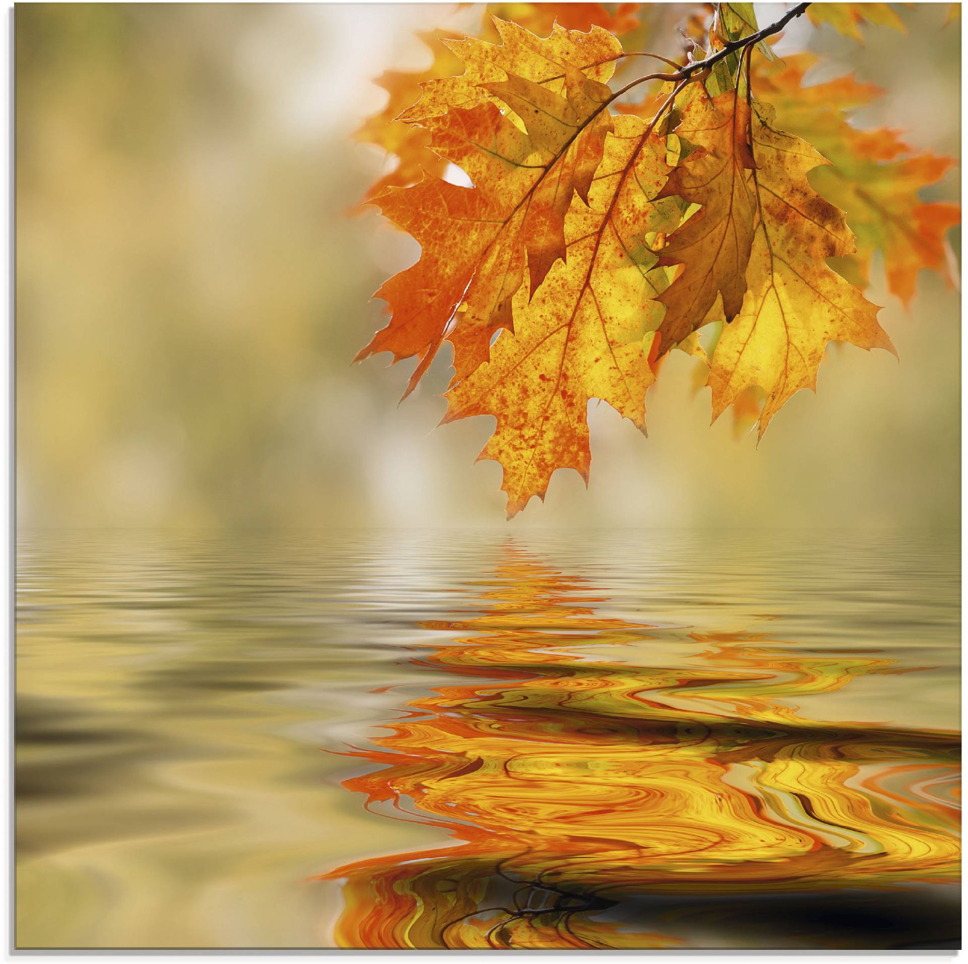 Artland Glasbild »Herbstblatt«, Blätter, (1 St.) von Artland
