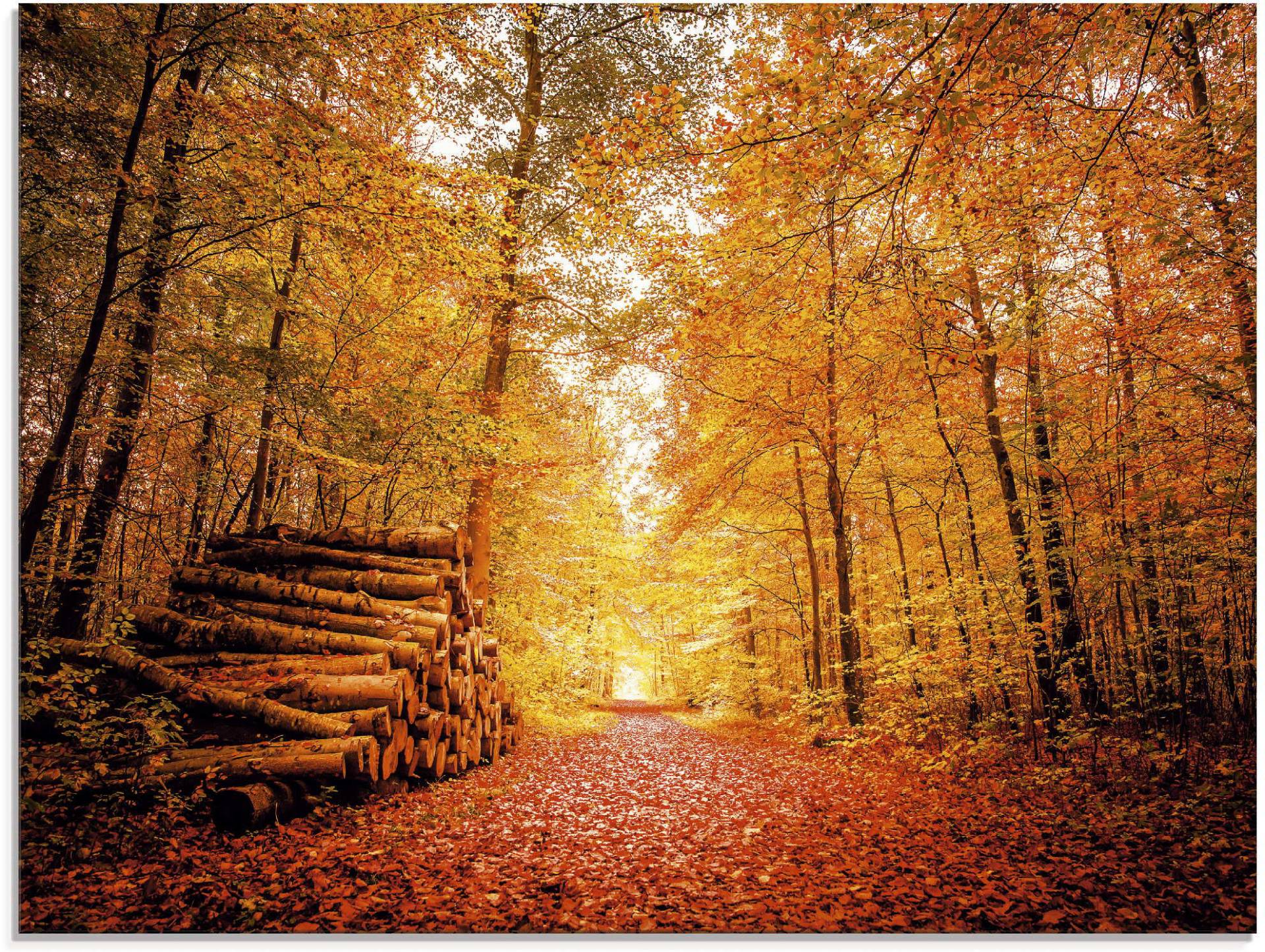 Artland Glasbild »Herbstlandschaft«, Vier Jahreszeiten, (1 St.) von Artland