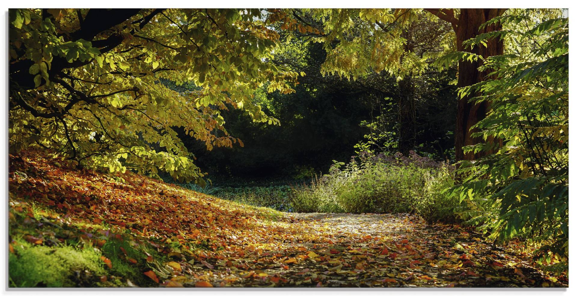 Artland Glasbild »Herbstteppich«, Wald, (1 St.) von Artland