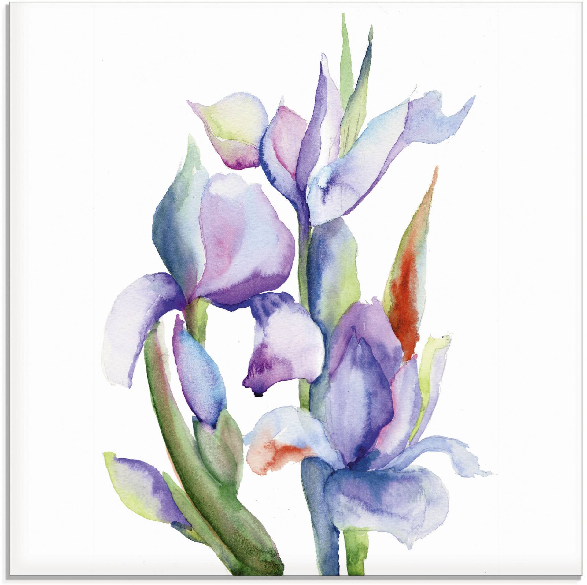 Artland Glasbild »Iris«, Blumen, (1 St.) von Artland